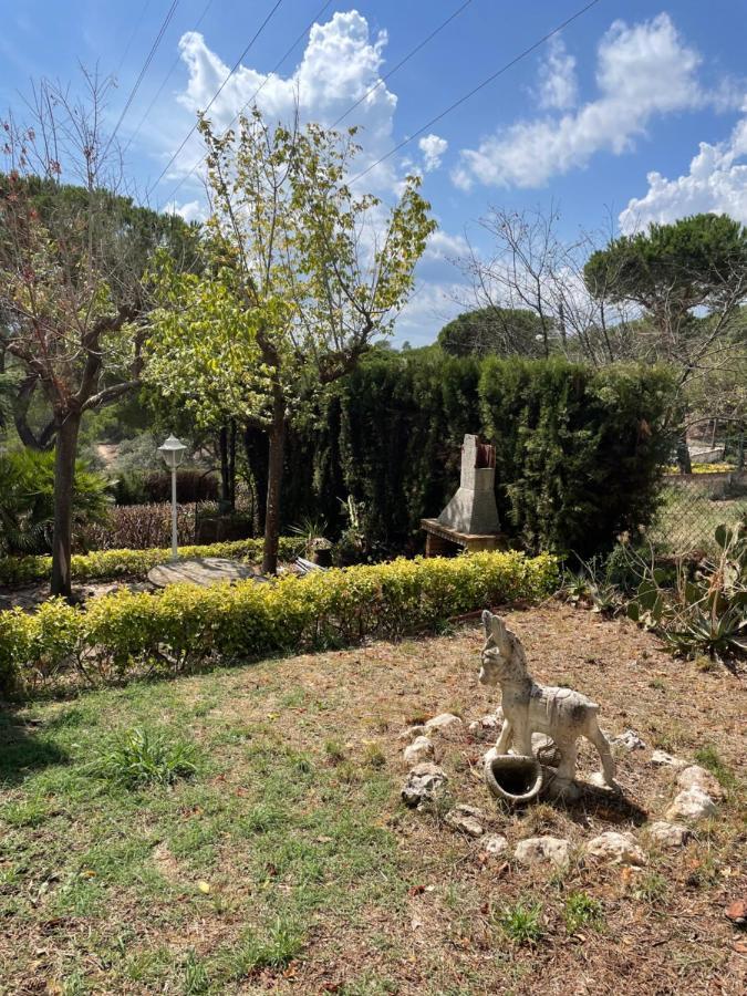 Villa Herlinda Costa Brava - With Swiming Pool Massanet De La Selva Ngoại thất bức ảnh