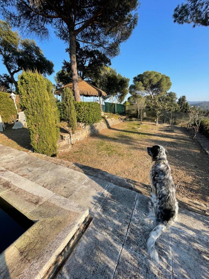 Villa Herlinda Costa Brava - With Swiming Pool Massanet De La Selva Ngoại thất bức ảnh